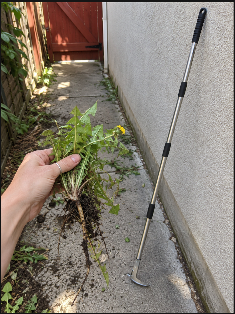 Yardwell demonstration photo — replace with your customer photo